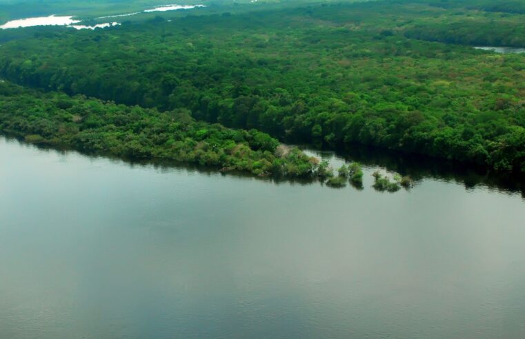 EUA estão empenhados em arrecadar recursos vultosos para Amazônia