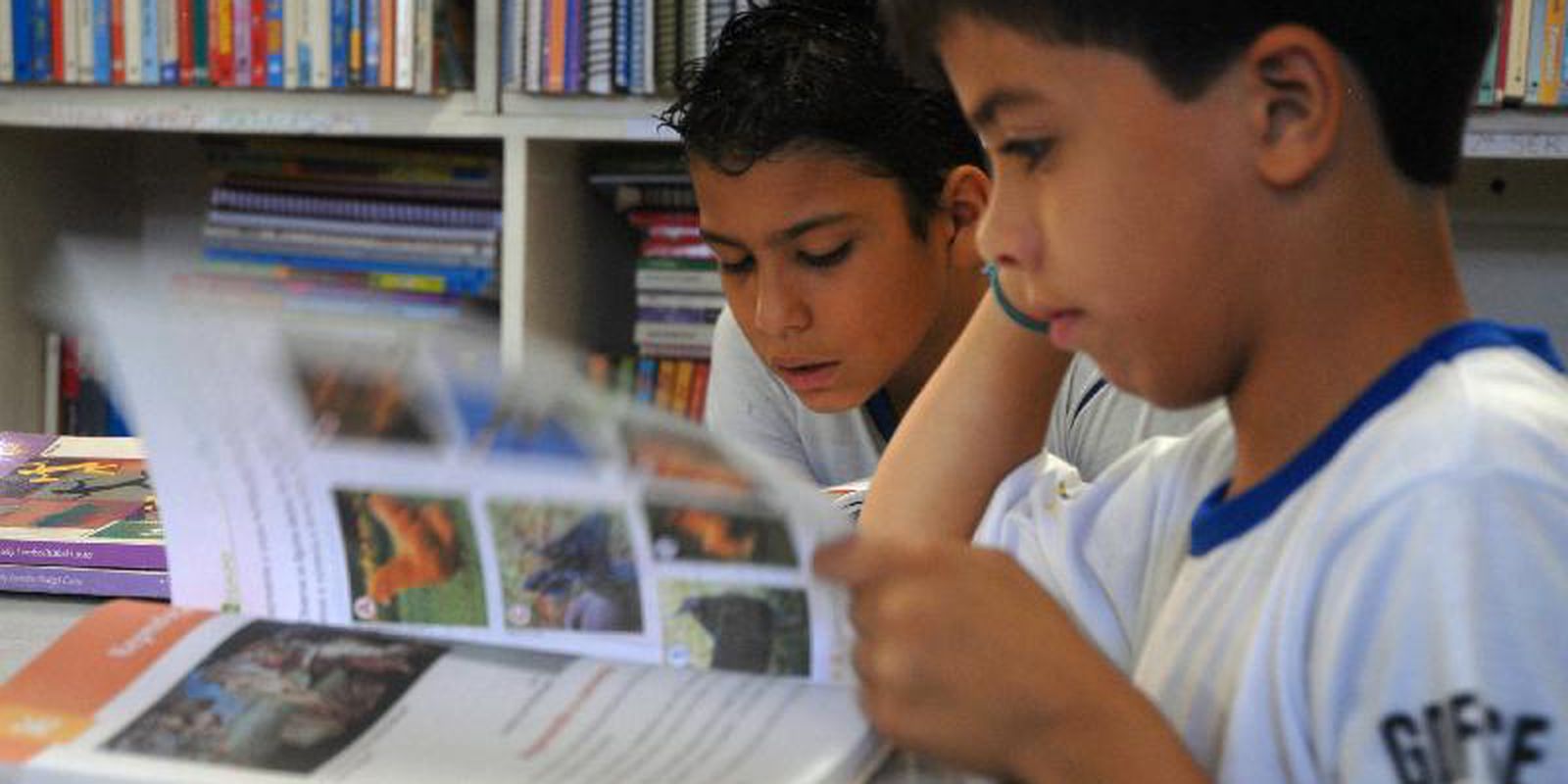 Undime vê como positivo aumento de matrículas na educação infantil