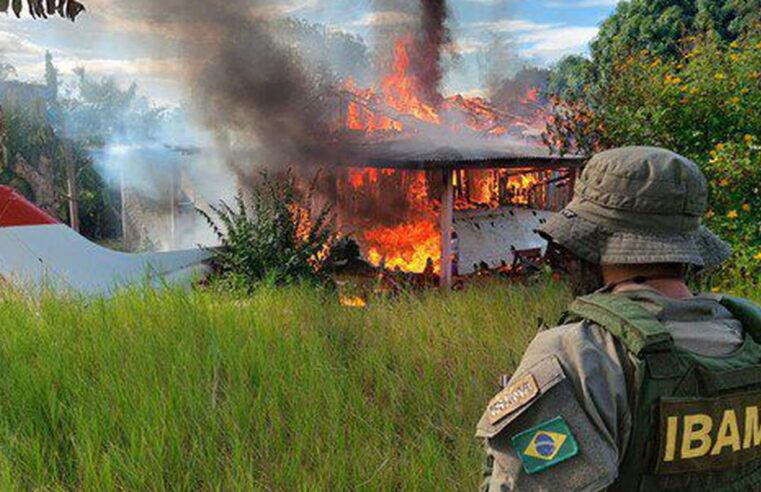 STF rejeita lei de Roraima que proíbe destruição de bens apreendidos