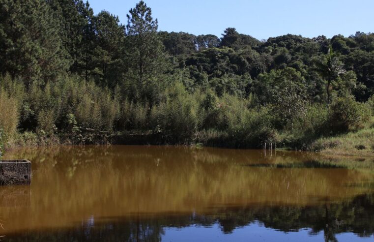 Brasil ganha 1,7 milhão de hectares de superfície de água em 2022