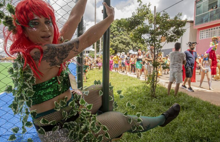 Bloco das Trepadeiras estreia no carnaval de Brasília